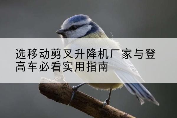 饶河电动升降机厂家-选移动剪叉升降机厂家与登高车必看实用指南