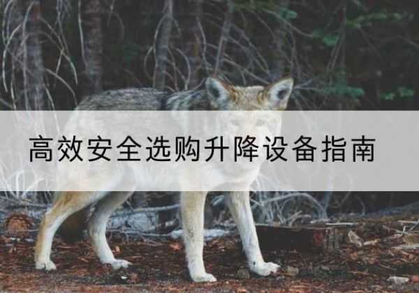 饶河升降货梯厂家推荐-*安全选购升降设备指南