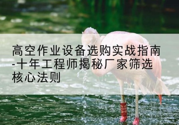 饶河剪叉式升降机厂家-高空作业设备选购实战指南-十年工程师揭秘厂家筛选核心法则